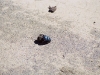 065_28a.jpg
