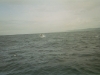 084_7a.jpg