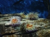 img_0970.jpg