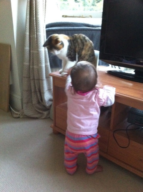9_reachingtilly