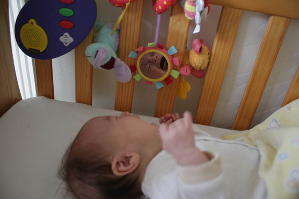 leonacrying