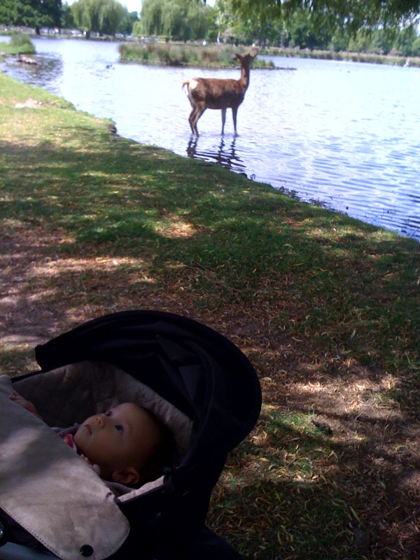 leonawithdeer