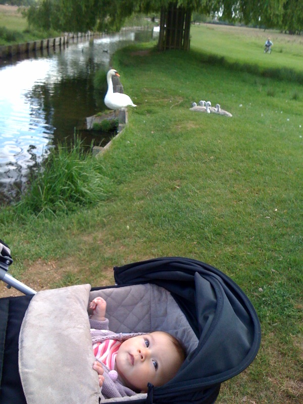 leonawithswan